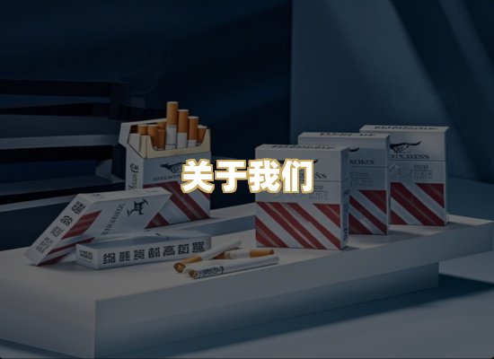 关于我们